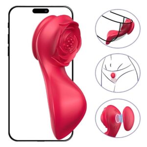 Vibrador de calcinha -  À Longa Distância - App